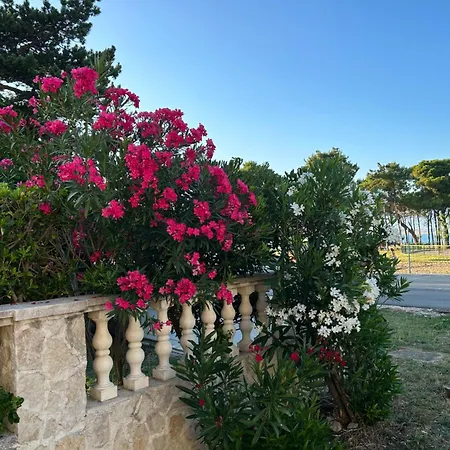 Marin Apartment Privlaka (Zadar)